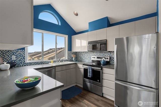 kitchen with lofted ceiling, a sink, decorative backsplash, dark wood-type flooring, and stainless steel appliances