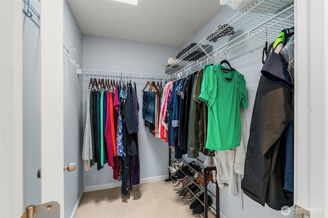 walk in closet with carpet floors