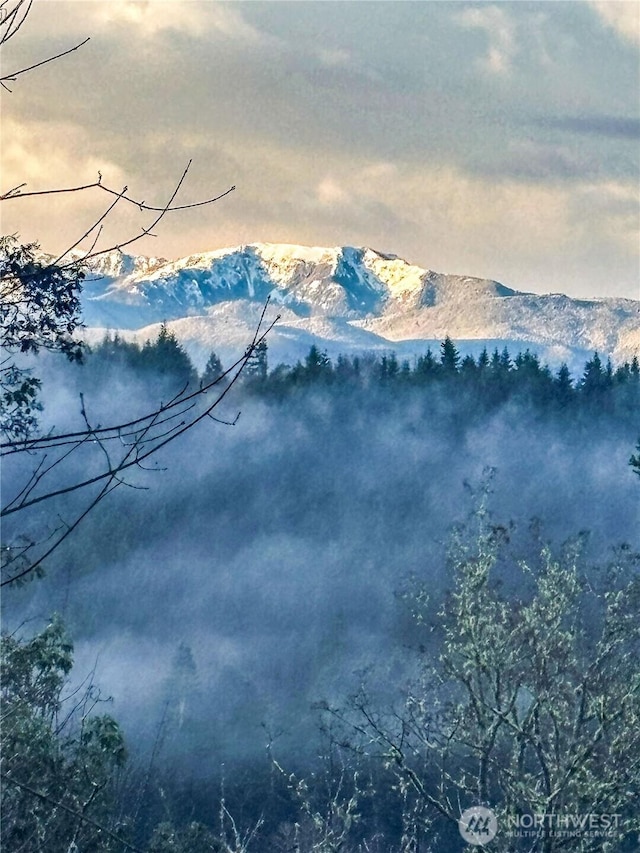 view of mountain feature