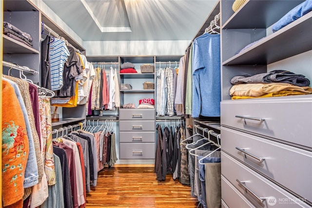 walk in closet featuring wood finished floors