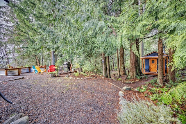 view of yard featuring a forest view