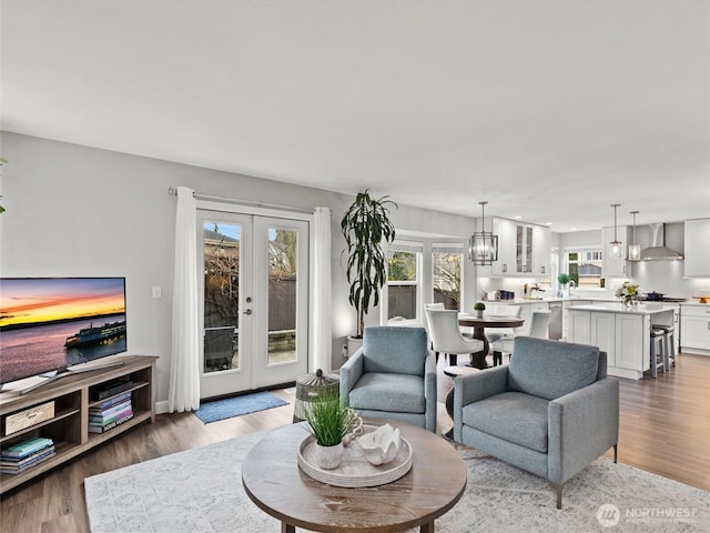 living room featuring french doors and wood finished floors