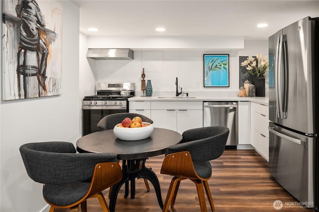 kitchen with wall chimney range hood, light countertops, appliances with stainless steel finishes, modern cabinets, and a sink