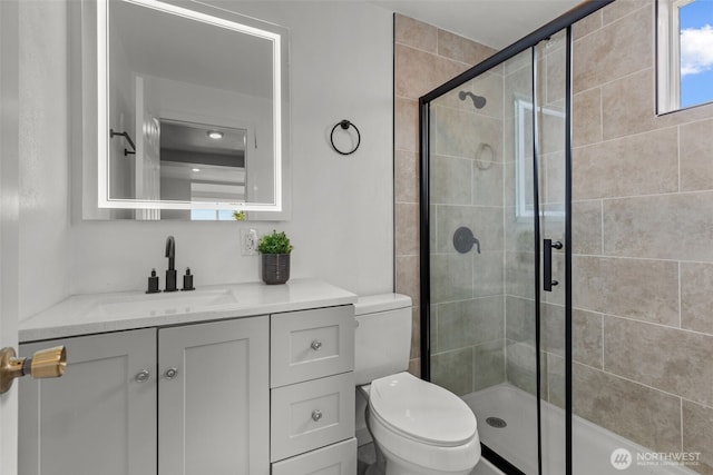 bathroom with a shower stall, toilet, and vanity