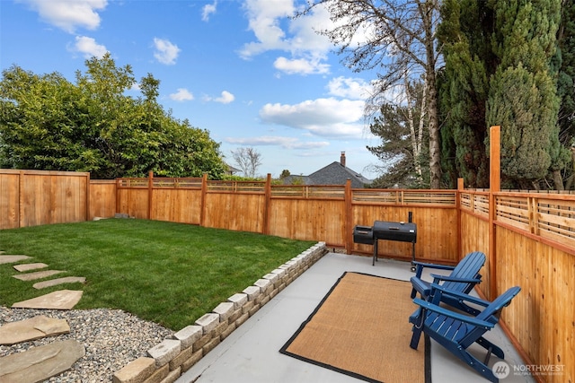 view of yard featuring a fenced backyard and a patio area