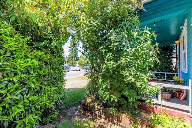 6845 S Clement Ave, Tacoma, WA 98409 - view of yard