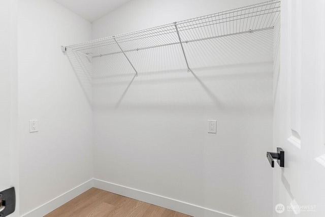 spacious closet featuring light wood-style floors