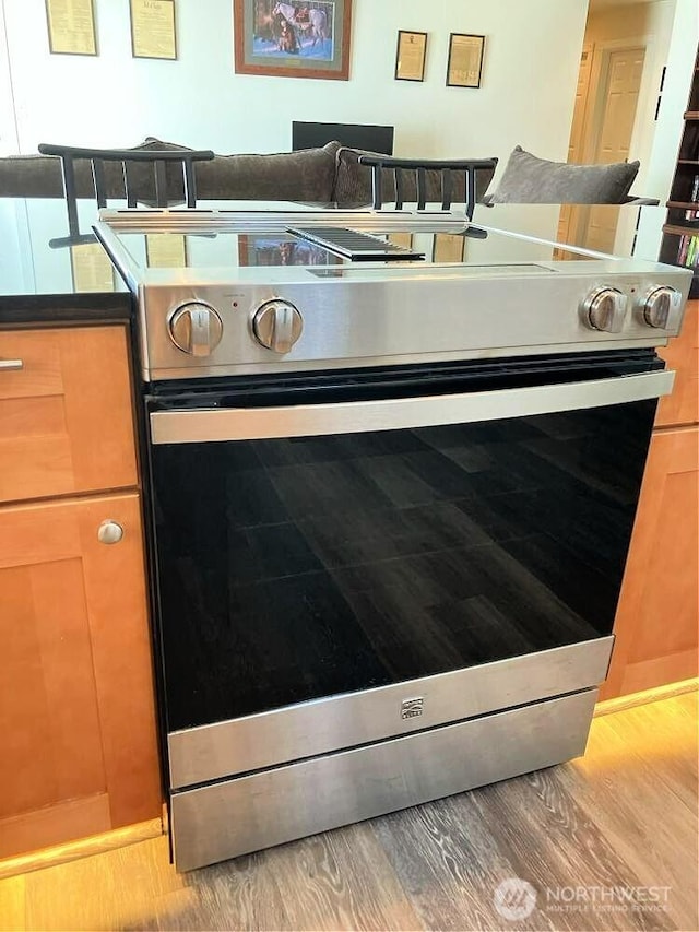 room details featuring stainless steel range with electric stovetop and wood finished floors