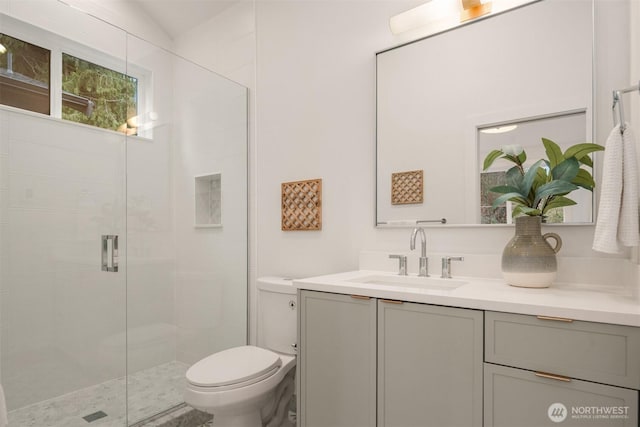 bathroom featuring vanity, a shower stall, toilet, and lofted ceiling