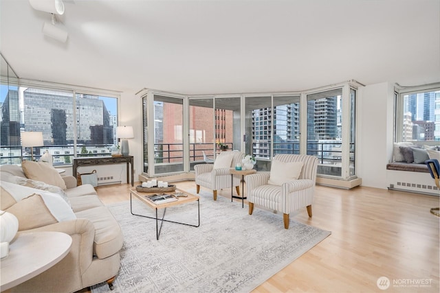 living room featuring a city view, a wall of windows, and wood finished floors