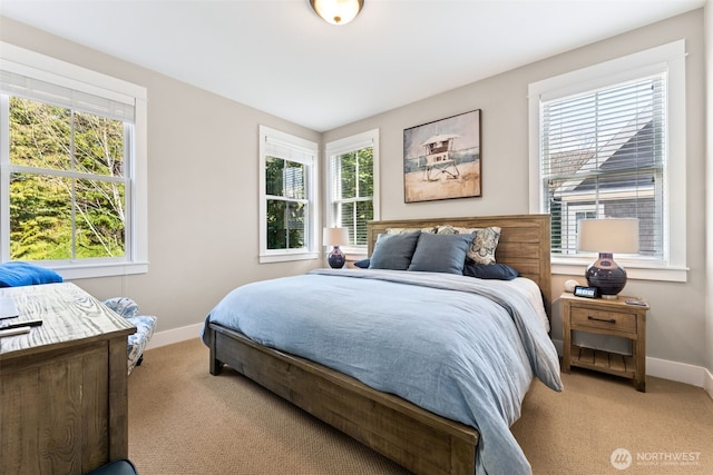 221 Meriweather St, Pacific Beach, WA 98571 - bedroom featuring baseboards and carpet floors