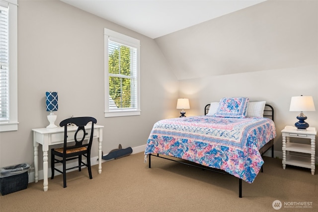 221 Meriweather St, Pacific Beach, WA 98571 - carpeted bedroom featuring baseboards and vaulted ceiling