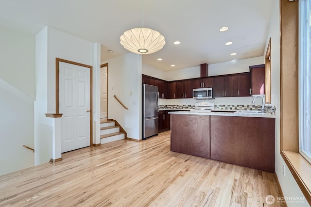 kitchen featuring light wood finished floors, dark brown cabinetry, light countertops, stainless steel appliances, and a sink