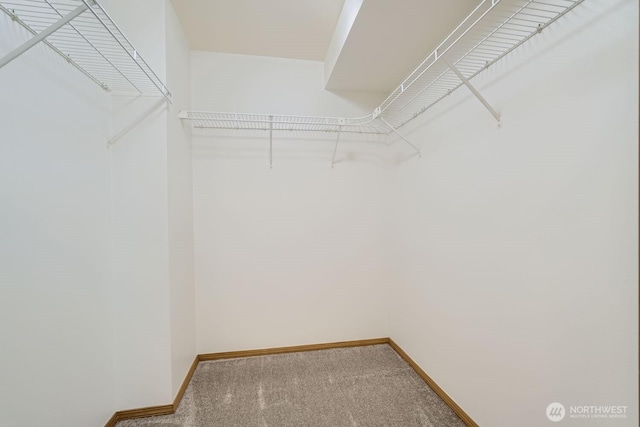 spacious closet with carpet floors