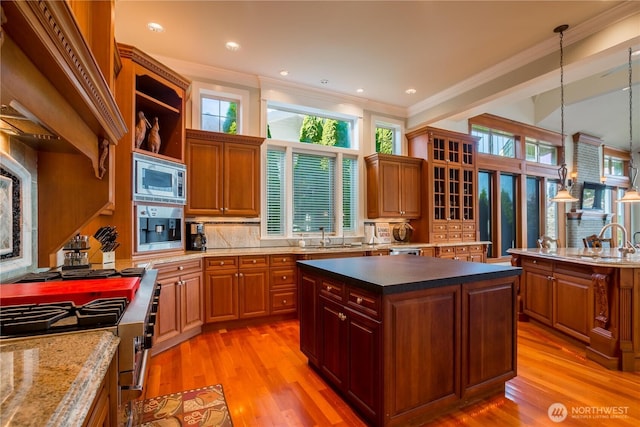 kitchen with crown molding, light wood-style floors, a kitchen island, and stainless steel appliances