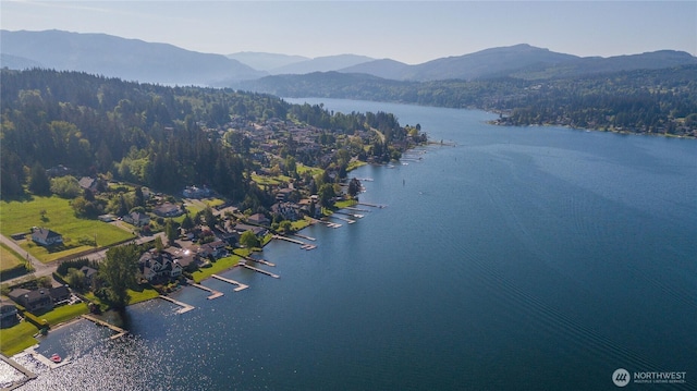 drone / aerial view with a water and mountain view and a view of trees