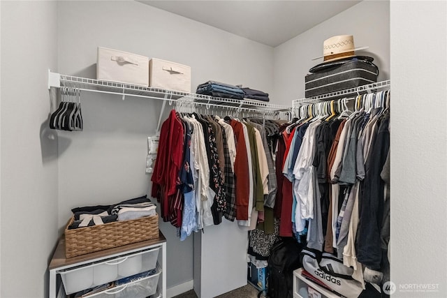 view of walk in closet