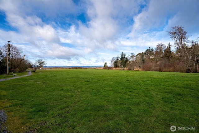 view of yard featuring a rural view