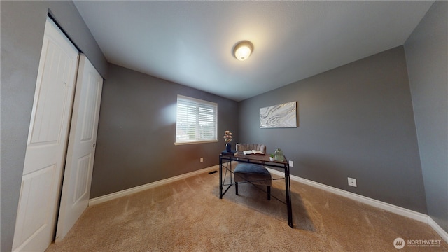 home office featuring carpet flooring and baseboards