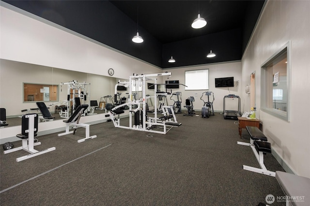 exercise room with baseboards and a high ceiling