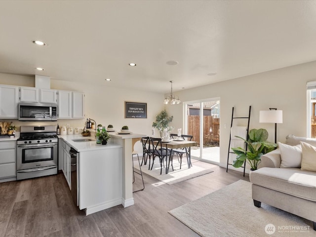 kitchen featuring a sink, open floor plan, appliances with stainless steel finishes, a peninsula, and light countertops