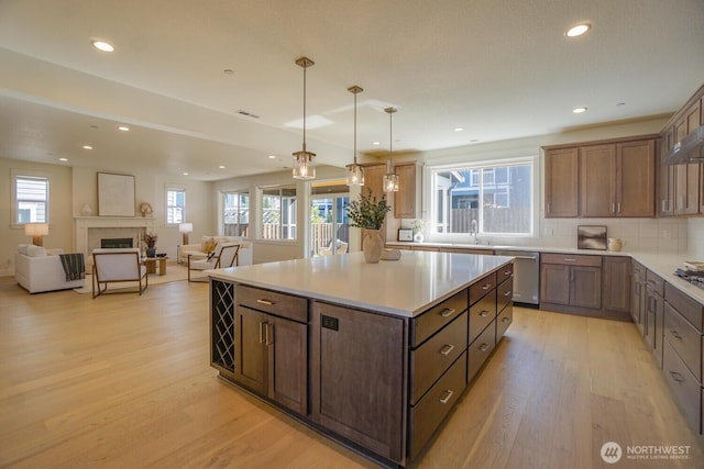 kitchen featuring a sink, dishwasher, and light wood-style flooring