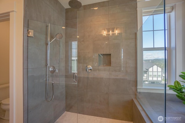 bathroom featuring a shower stall and toilet