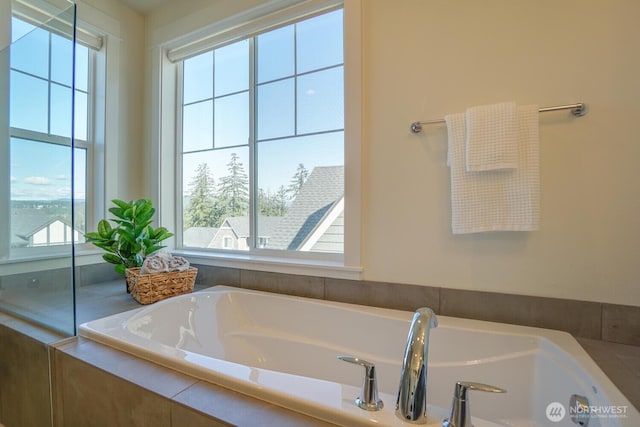 bathroom with a garden tub and a wealth of natural light