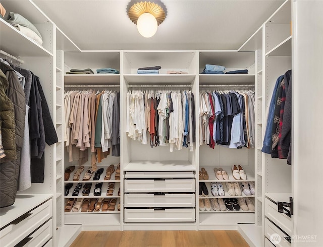 walk in closet featuring wood finished floors