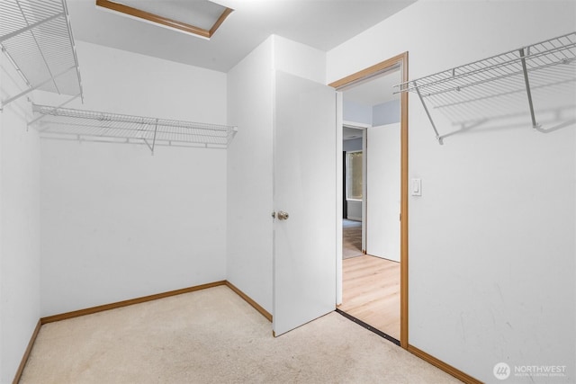 walk in closet with light carpet