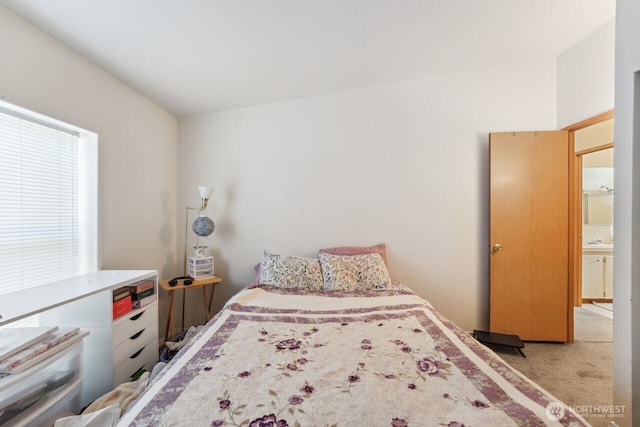 carpeted bedroom with a sink