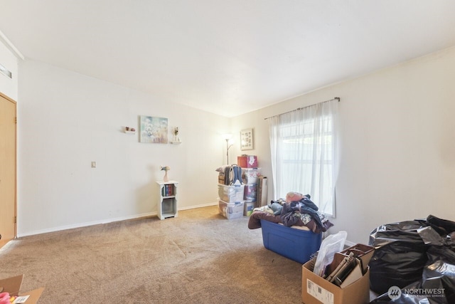 miscellaneous room featuring baseboards and carpet flooring