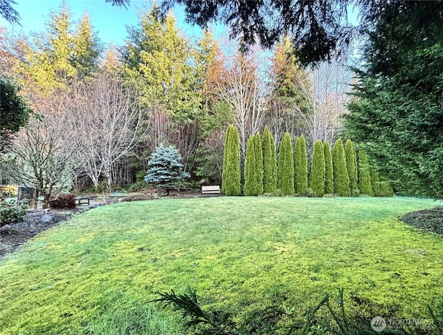 50 Holbrook Ln, Aberdeen, WA 98520 - view of yard featuring a wooded view