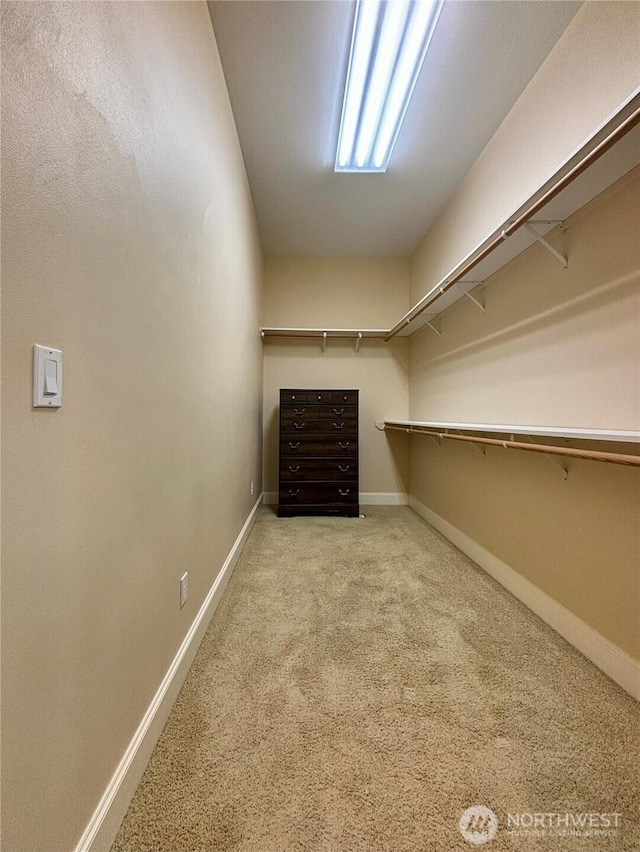 50 Holbrook Ln, Aberdeen, WA 98520 - walk in closet with carpet flooring