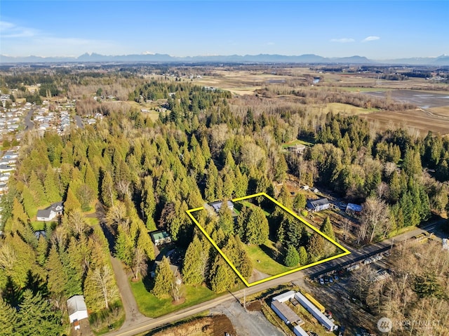 drone / aerial view featuring a forest view and a mountain view