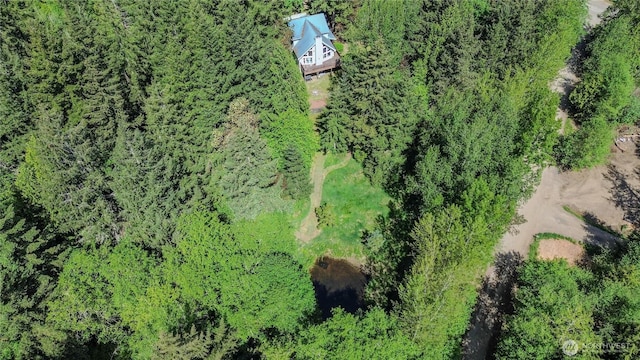 19002 20th St NW, Lakebay, WA 98349 - drone / aerial view