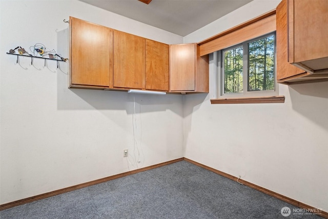 clothes washing area with carpet flooring and baseboards