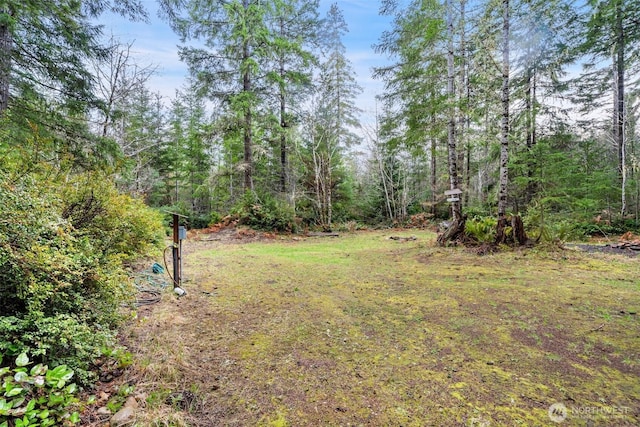 view of yard featuring a view of trees