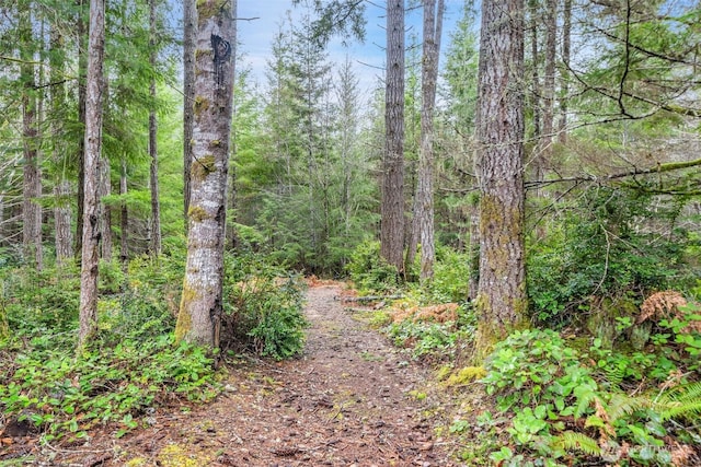 view of nature featuring a view of trees