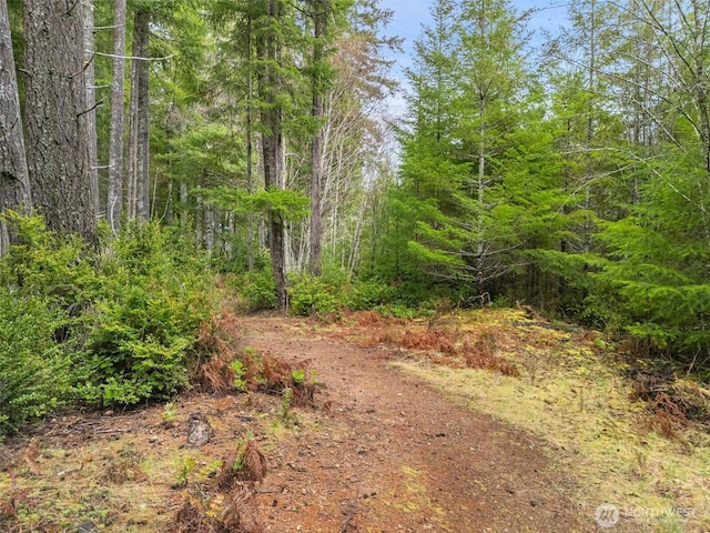 view of road with a forest view