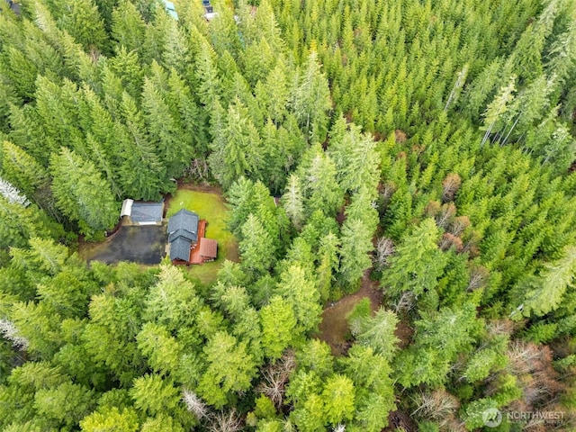 bird's eye view with a forest view