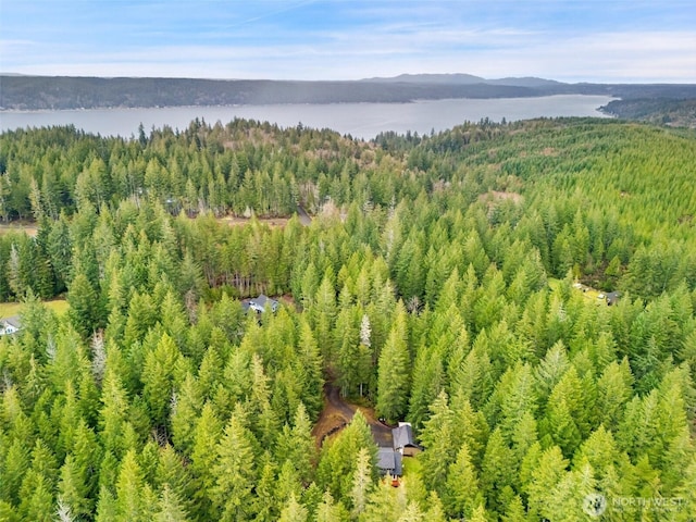 birds eye view of property with a wooded view and a water view