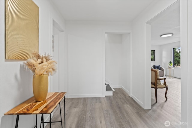 hall with baseboards and wood finished floors