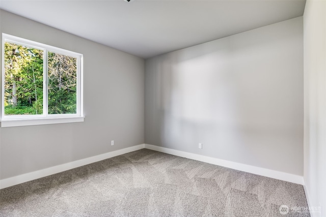 716 Tipsoo Loop S, Rainier, WA 98576 - photo 15