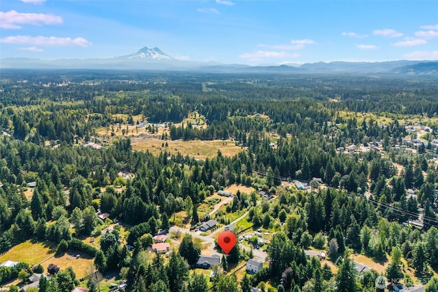 716 Tipsoo Loop S, Rainier, WA 98576 - photo 34