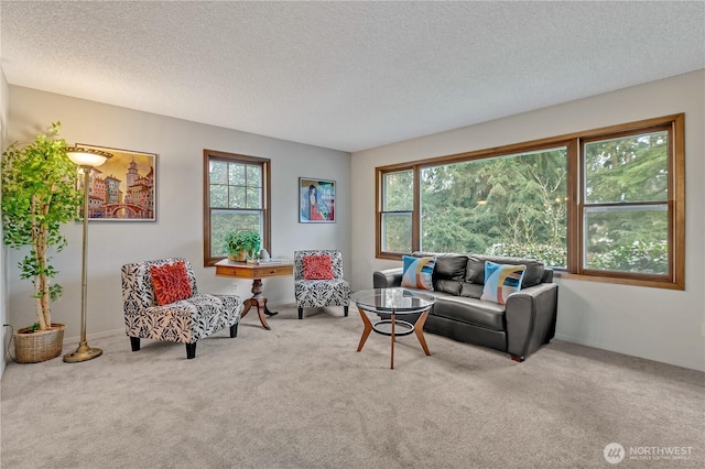 carpeted living area featuring plenty of natural light and a textured ceiling