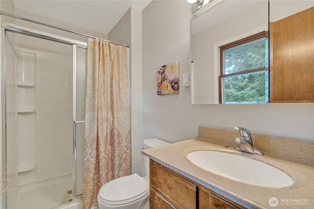 full bathroom featuring curtained shower, toilet, and vanity