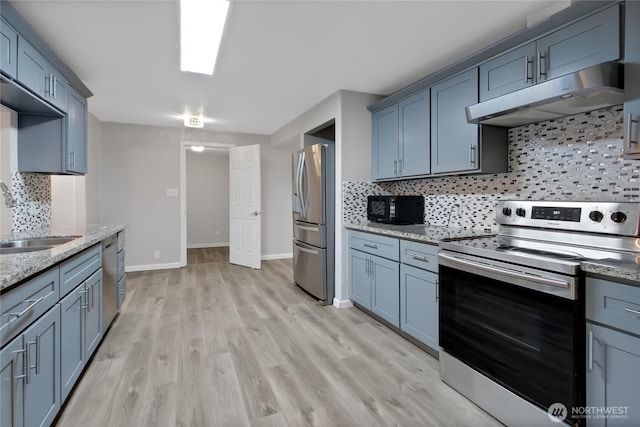 kitchen featuring light stone countertops, under cabinet range hood, light wood-type flooring, stainless steel appliances, and a sink