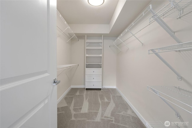 walk in closet featuring light carpet