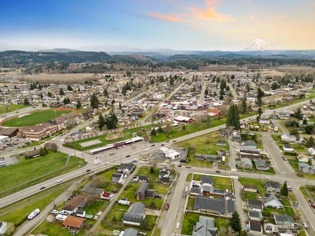 aerial view with a mountain view